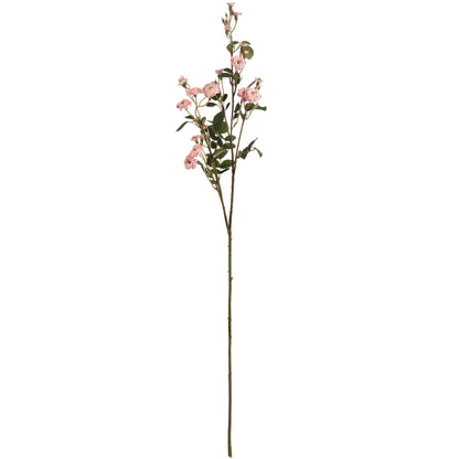 Wild Meadow Pink Rose Stem with delicate pink flowers, soft peach centres, and realistic green leaves. Styled on a white background.