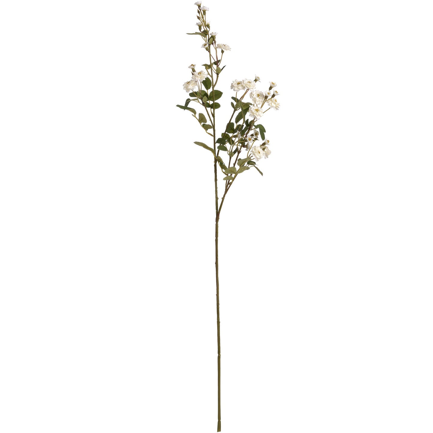 Wild Meadow White Rose Stem with delicate white flowers, soft yellow centres and realistic green leaves, styled on a white background.