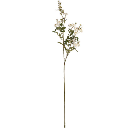 Wild Meadow White Rose Stem with delicate white flowers, soft yellow centres and realistic green leaves, styled on a white background.