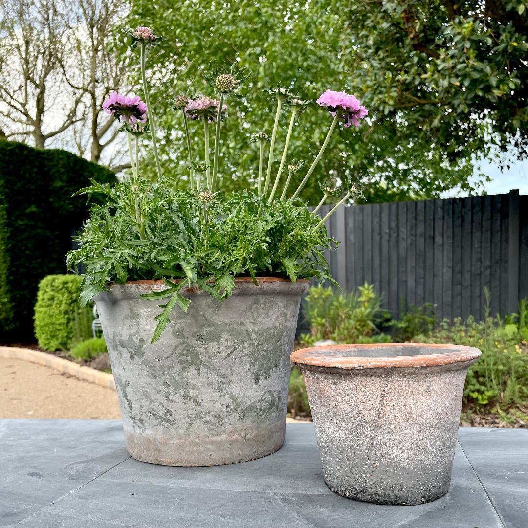 With its aged finish and simple, earthy charm, our small rustic terracotta pot is a timeless addition to any shelf, windowsill or garden nook. Perfect for herbs, succulents or seasonal blooms, each one carries natural variations that add to its character and story.