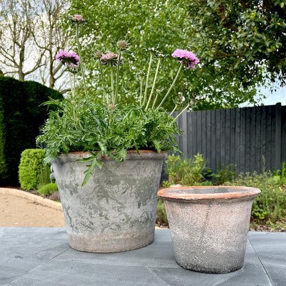 With its aged finish and simple, earthy charm, our small rustic terracotta pot is a timeless addition to any shelf, windowsill or garden nook. Perfect for herbs, succulents or seasonal blooms, each one carries natural variations that add to its character and story.
