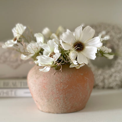 Rustic unglazed terracotta pot with natural finish, styled with a white cosmos spray.