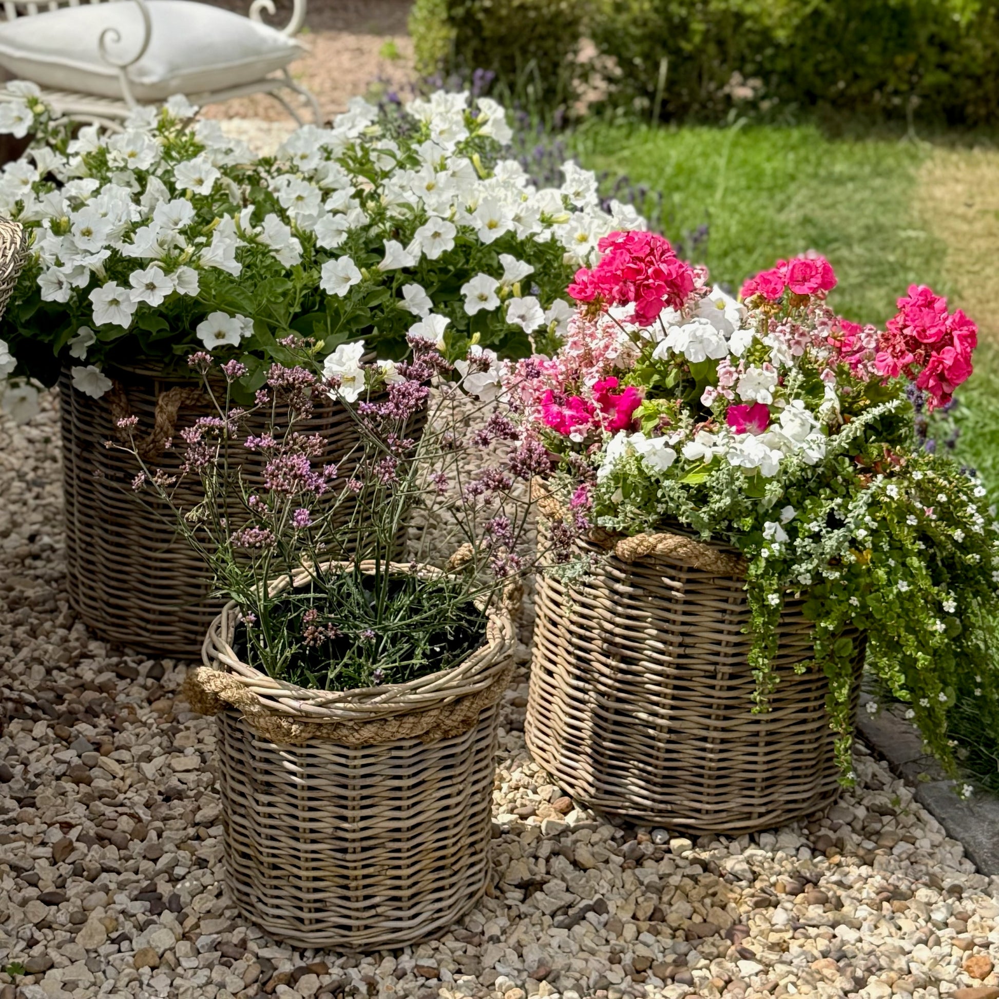 Three rattan planters with liners and flowers on a pebble surface in the garden