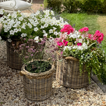 Three rattan planters with liners and flowers on a pebble surface in the garden