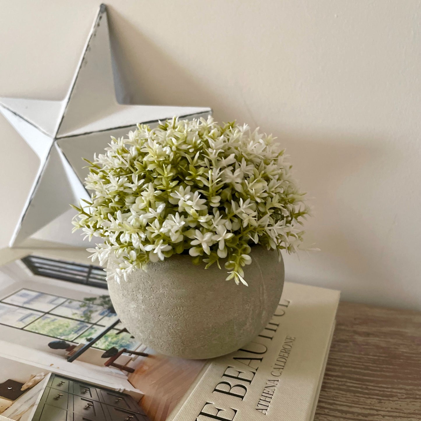 Faux white tipped Hebe bush in a cement pot styled on a book with a star decoration.