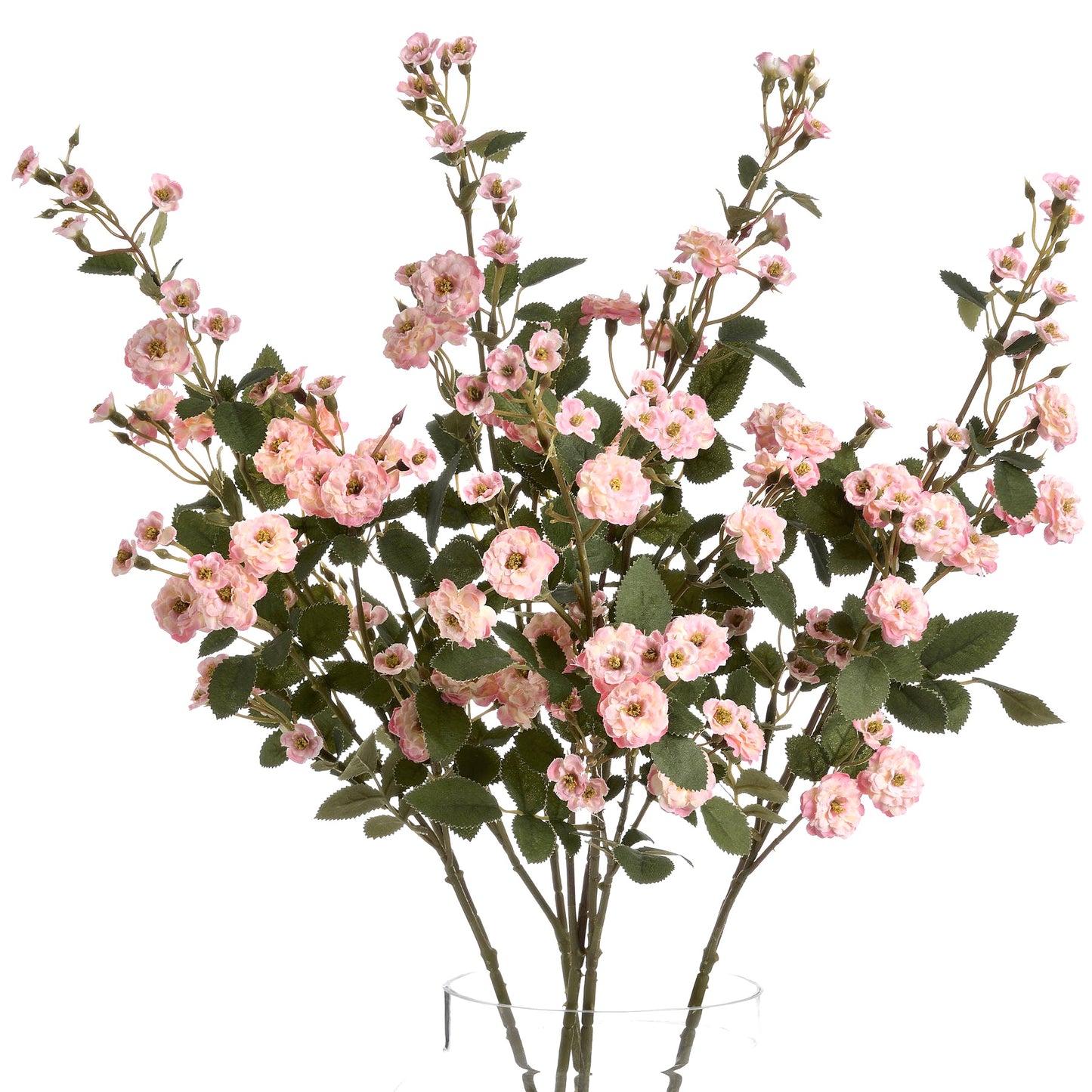 Wild Meadow Pink Rose Stems with delicate pink flowers, soft peach centres and realistic green leaves. Styled on a white background.